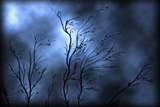 Buy Art Prints