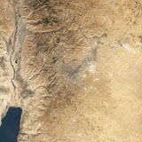 Buy Art Prints