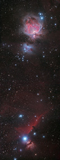 PHA100006S