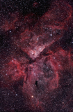 PHA100014S