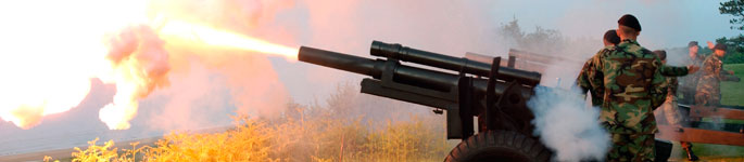 Howitzer