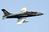 ABA100099M