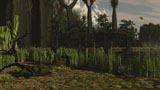 ADR600005P