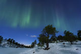 AHE100071S
Aurora Borealis, Forramarka, Troms, Norway.