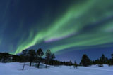 AHE100074S
Aurora Borealis, Forramarka, Troms, Norway.