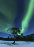 AHE100075S
Aurora Borealis, Forramarka, Troms, Norway.