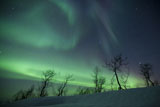 AHE100083S
Northern Lights in the arctic wilderness, Nordland, Norway.