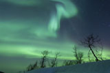 AHE100084S
Northern Lights in the arctic wilderness, Nordland, Norway.