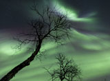 AHE100086S
Northern Lights in the arctic wilderness, Nordland, Norway.