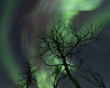 AHE100091S
Northern Lights in the arctic wilderness, Nordland, Norway.