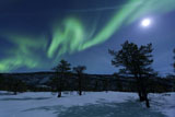 AHE100100S
Aurora Borealis, Forramarka, Troms, Norway.