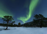 AHE100101S
Aurora Borealis, Forramarka, Troms, Norway.