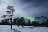 AHE100113S
Moonlight and aurora borealis, Forramarka, Troms, Norway.