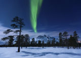 AHE100114S
Moonlight and aurora borealis, Forramarka, Troms, Norway.