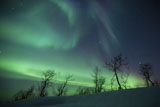 AHE100117S
Northern Lights in the arctic wilderness, Nordland, Norway.