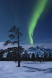 AHE100120S
Moonlight and aurora over Nova Mountain Wilderness, Norway.