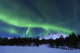 AHE100122S
Aurora Borealis over Nova Mountain Wilderness, Norway.