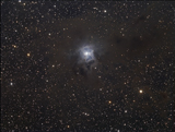 ALV100028S
The Iris Nebula