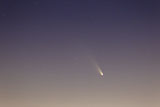 ARG100087S
Comet Panstarrs at twilight,  Buenos Aires, Argentina.