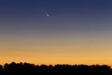 ARG100088S
Comet Panstarrs at twilight,  Buenos Aires, Argentina.