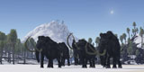 CFR200058P
A herd of Woolly Mammoths migrate to a warmer climate in the Pleistocene Age.