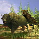 CFR200064P
A Saber-Tooth cat pounces onto a frightened Buffalo.