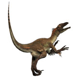 CFR200072P
Artist's concept of a Utahraptor.