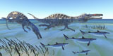 CFR200103P
Two Suchomimus dinosaurs hunting small sharks.