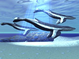 CFR300009U