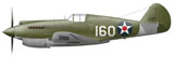 CSB300038M
Illustration of a Curtis P-40 Warhawk.