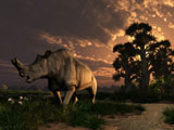 DEK600007P
A Megacerops grazing a prehistoric landscape.