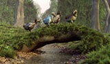 DEK600013P
A group of Dodo birds crossing a natural bridge over a stream.