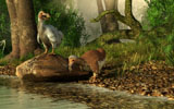 DEK600015P
A pair of Dodo birds drinking at a river.
