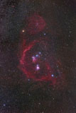 GEN100147S