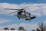 HGP100181M