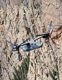 HGP100357M