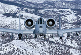 HGP100369M