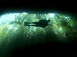 KWD400008U
Scuba diver in the cavern part of the cenote system on the Yucatan Peninsula.