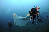 KWD400018U
Diver removes invasive Indo-Pacific Lionfish from Atlantic Ocean.