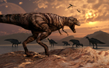 MAS100076P
A T-Rex plans his attack on a herd of Parasaurolophus dinosaurs.