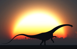 MAS100242P
A silhouetted Diplodocus dinosaur takes at the start of a prehistoric day.