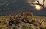MAS100309P
A lone Sabre Tooth Tiger observes the landscape for its next meal.