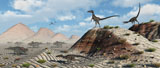 MAS100502P
A pack of velociraptors stalking a herd of Protoceratops.