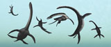 MAS100513P
Plesiosaurs gather at their underwater playground.