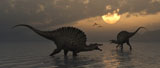 MAS100516P
A pair of Spinosaurus dinosaurs fishing on a prehistoric evening.