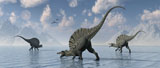 MAS100517P
A group of Spinosaurus dinosaurs spending the day fishing.