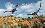 MAS100518P
A pair of velociraptors involved in a territorial dispute.