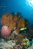 MME400342U