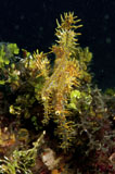 MME400427U