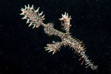 MME400429U